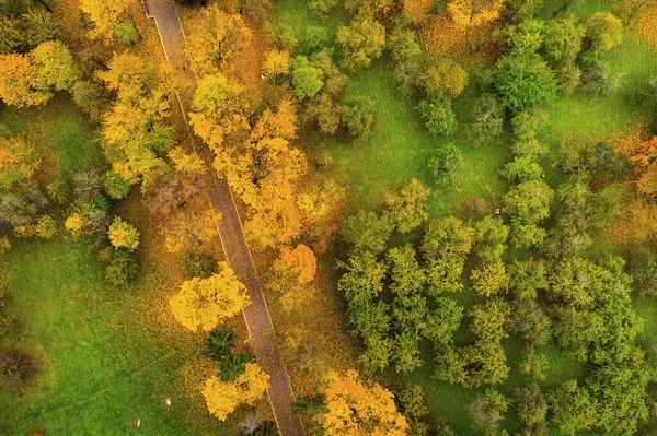 Pohled Výšky Podzimu Lošitsky Park Minsku Silnice Parku Loshitsa Bělorusko — Stock fotografie