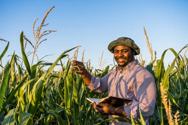 Tarlada Mutlu Bir Çiftçi — Stok fotoğraf