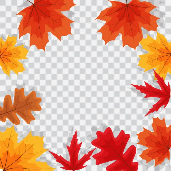 Herfst Natuurlijke Bladeren Transparante Achtergrond — Stockfoto