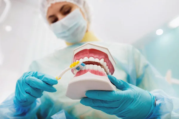 Modelo Mandíbula Humana Com Dentes Uma Escova Dentes Mão Dentista — Fotografia de Stock