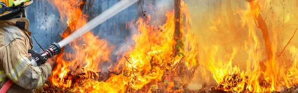 Tfaiyeciler Yangına Sıkarlar — Stok fotoğraf