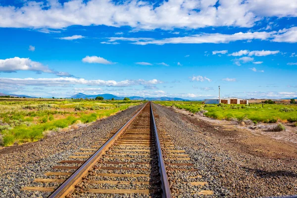 Treinrails Convergeren Ver Aan Horizon — Stockfoto