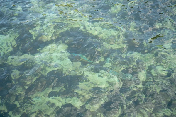 Płytkie Powierzchnie Morskie Patrz Podłoga Wapienna — Zdjęcie stockowe