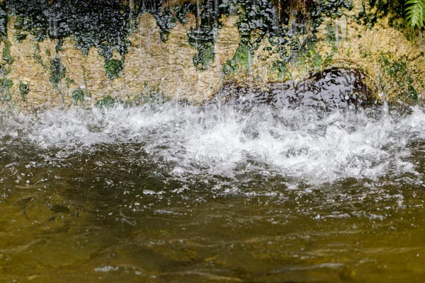 Image Waterfall Stone Wall Garden — Photo