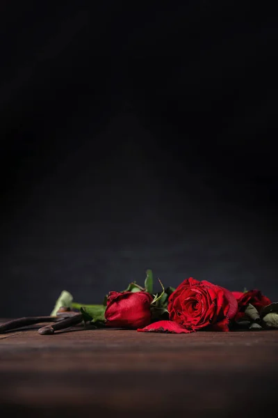 枯れ木は濃い灰色の背景と秋の花びらと葉を持つ木製のテーブルにバラ 悲しいバレンタインデーのロマンスのデザインコンセプト コピー スペース — ストック写真
