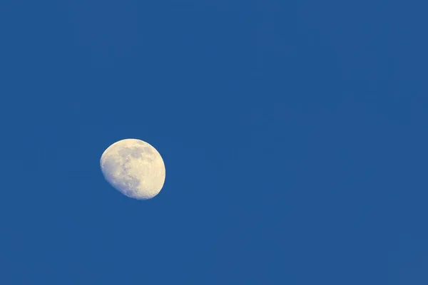 Full Moon Clear Dark Blue Night Sky — Stock Photo, Image