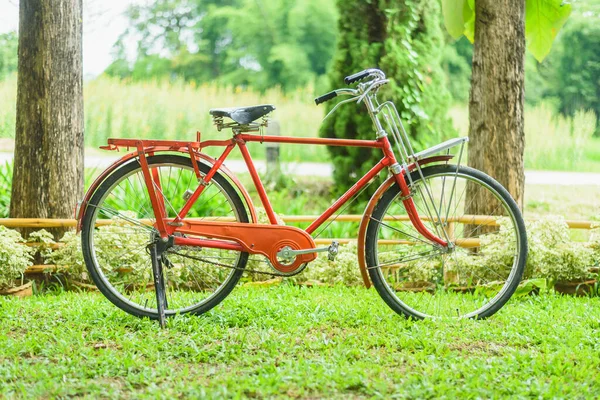 Czerwony Stary Rower Zielonym — Zdjęcie stockowe