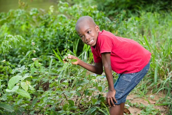 Jovem Rapaz Pega Flores Arbusto — Fotografia de Stock