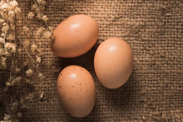 Eier Auf Klette Hintergrund — Stockfoto