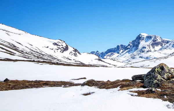 Berglandschaft Mit Schnee Auf Der Spitze — Stockfoto