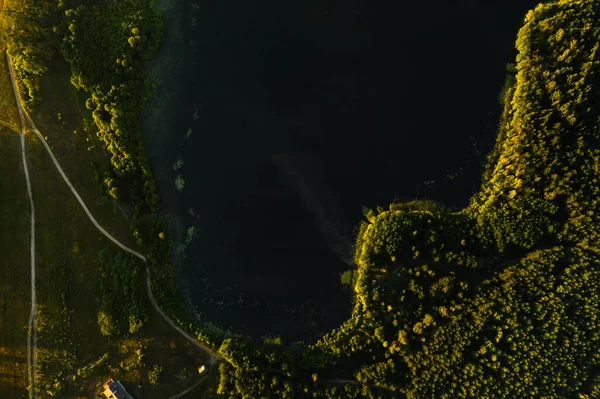 Pohled Shora Jezero Bolta Lese Národním Parku Braslavská Jezera Nejkrásnější — Stock fotografie