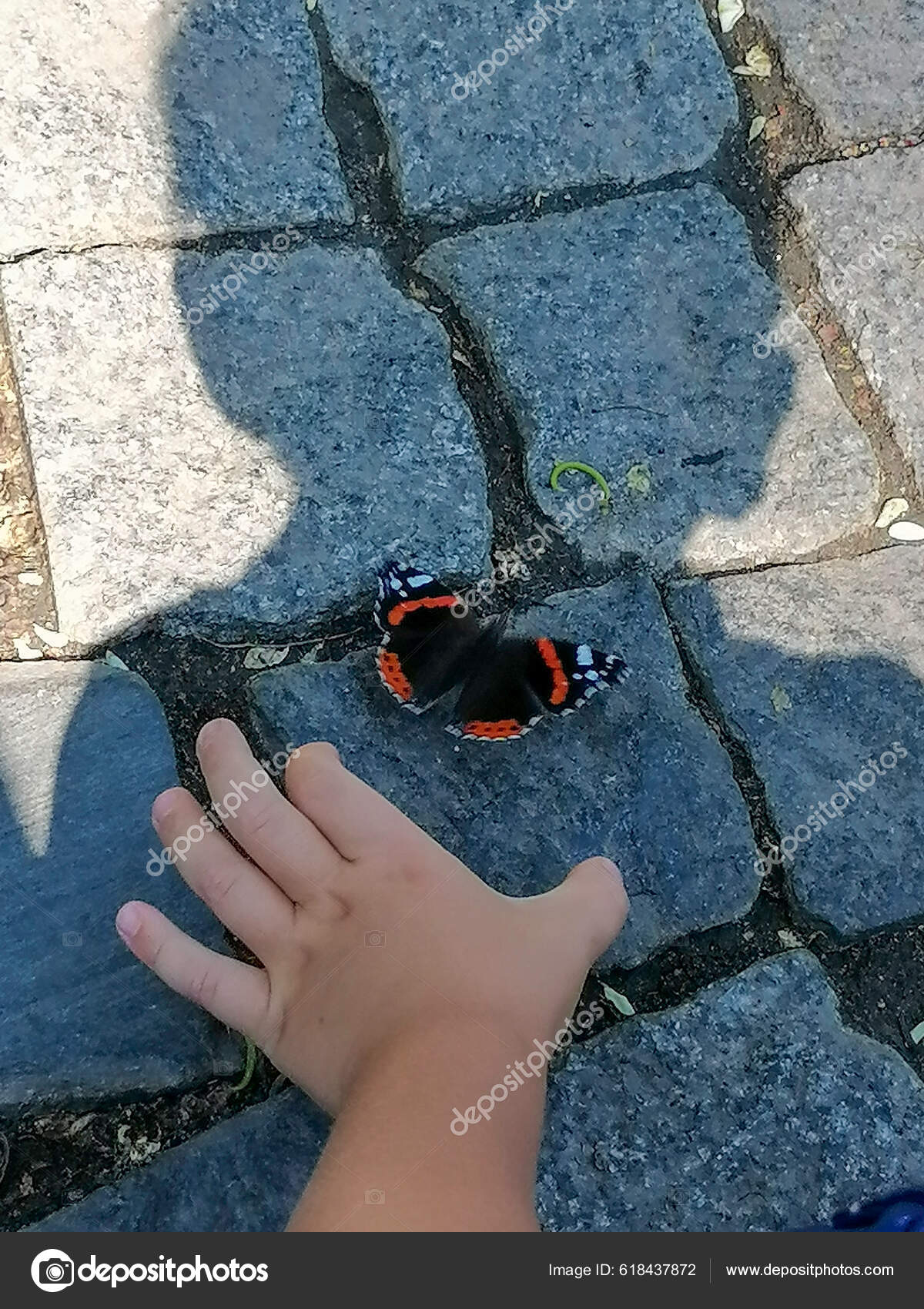 Boy Trying Catch Butterfly His Hand Stock Photo by ©YAY_Images 618437872