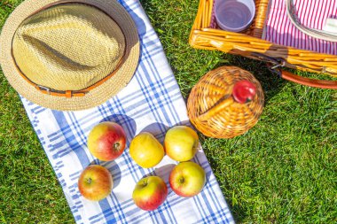 Parkta yeşil güneşli çim üzerinde sepet ile Piknik konsepti