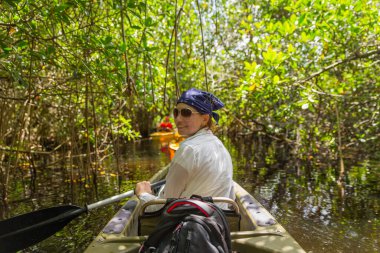Mangrov orman Everglades Florida, ABD içinde kayak Turizm