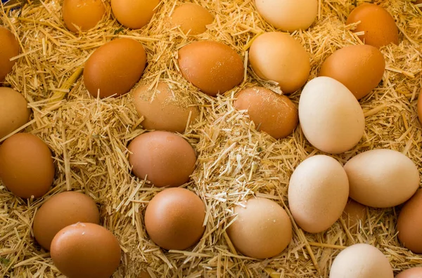 有机新鲜的农场蛋在市场上 — 图库照片