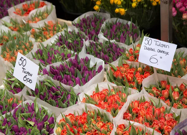 Beautiful Plants Flower Market — Stock Photo, Image