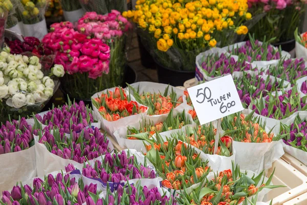Beautiful Plants Flower Market — Stock Photo, Image