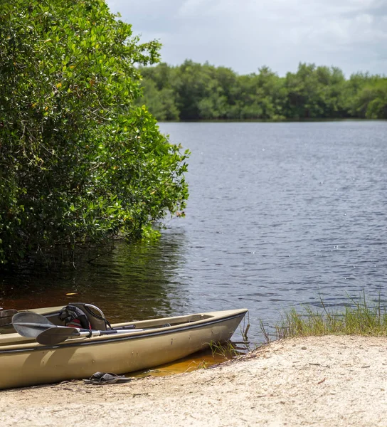 Kajaks Everglades Nationalpark Florida Usa — Stockfoto