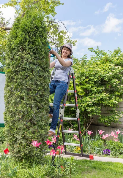 Woman Working Garden — Stock Photo, Image