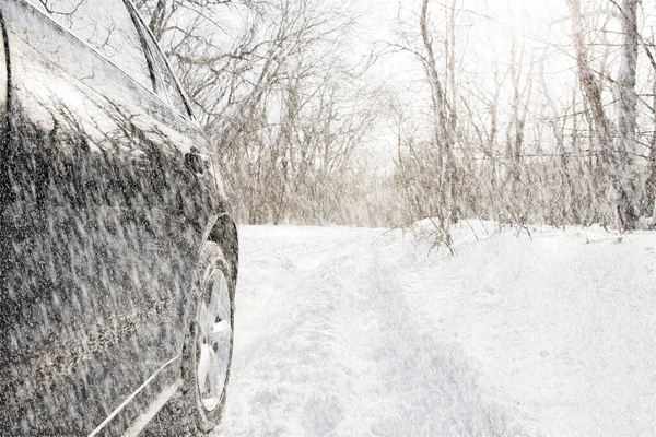 Car Forest Snowy View — Stock Photo, Image
