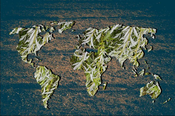 緑色の植物の充填で大まかに輪郭を描く世界地図 — ストック写真
