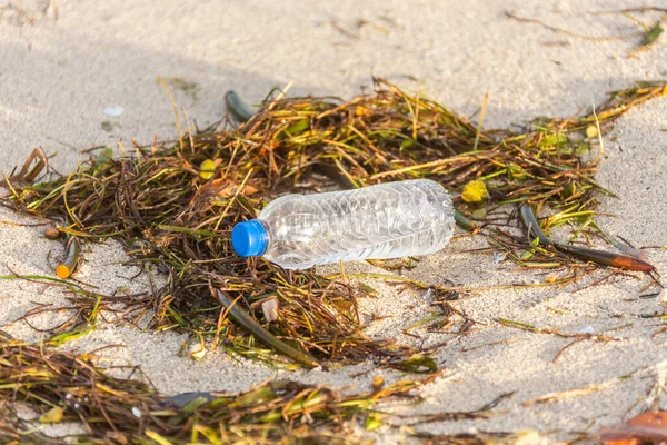 Пластиковая Бутылка Крышкой Выброшенной Пляж Смешанная Водорослями — стоковое фото