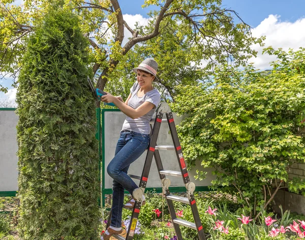 Woman Working Garden — Stock Photo, Image