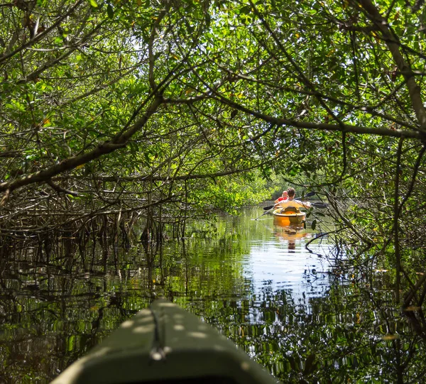 Caiaque Parque Nacional Everglades Flórida Eua — Fotografia de Stock