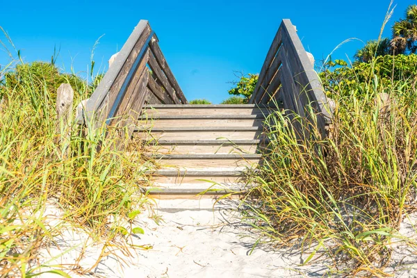 Spiaggia Rocce Indiane Con Erba Verde Florida Stati Uniti America — Foto Stock
