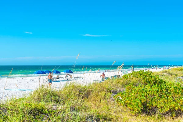 Playa Rocas Indias Con Hierba Verde Florida Estados Unidos — Foto de Stock