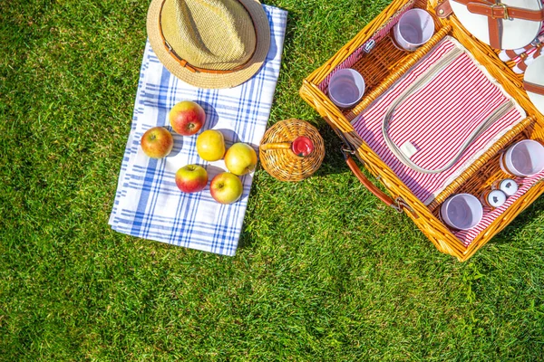 ピックニックコンセプトの緑の芝生 メガネとプレートのセット — ストック写真