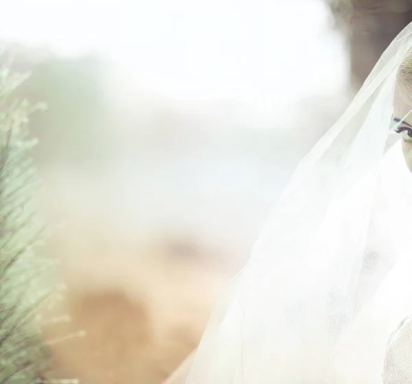 Very Softly Focused Bridal Veil — Stock Photo, Image