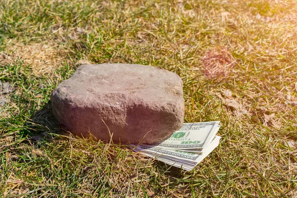 Bundle Money Lies Ground Grass Pressed Stone — Stock Photo, Image