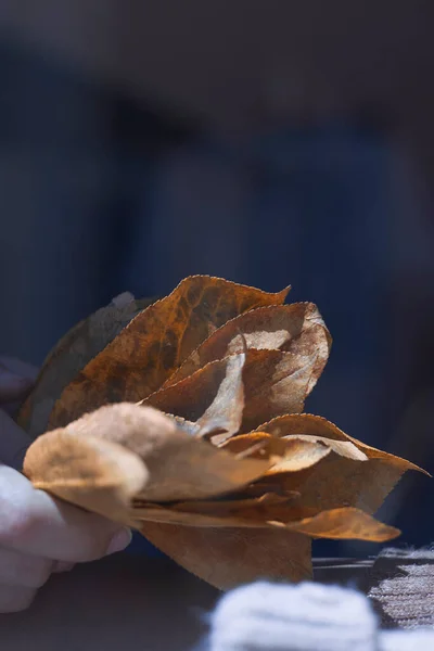 Hand Håller Hög Med Fallande Löv — Stockfoto
