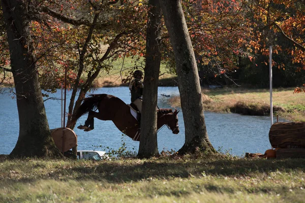 Paardensport Competitie Foto Inclusief Jager Jumper Cross Country Ruiters — Stockfoto