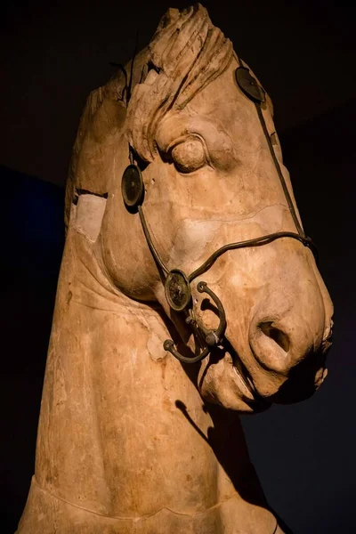 Статуя Голови Коня Британському Музеї — стокове фото