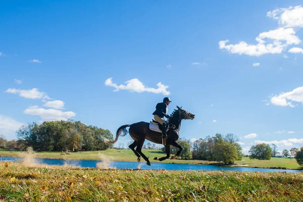 Fotos Competição Equestre Incluindo Caçador Jumper Cross Country Cavaleiros — Fotografia de Stock