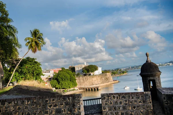 Вид Сан Хуан Город Пуэрто Рико Историческим Бриком Пальмами Водой — стоковое фото