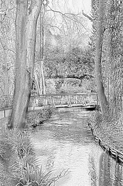 Parkta ağaç olan eski ahşap köprü.