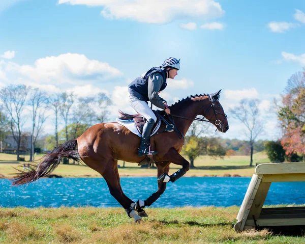 Foto Delle Competizioni Equestri Tra Cui Saltatore Cacciatore Cavalieri Cross — Foto Stock