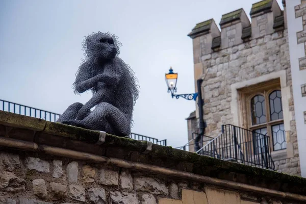 Estátua Macaco Royal Menagerie Torre Castelo Londres — Fotografia de Stock