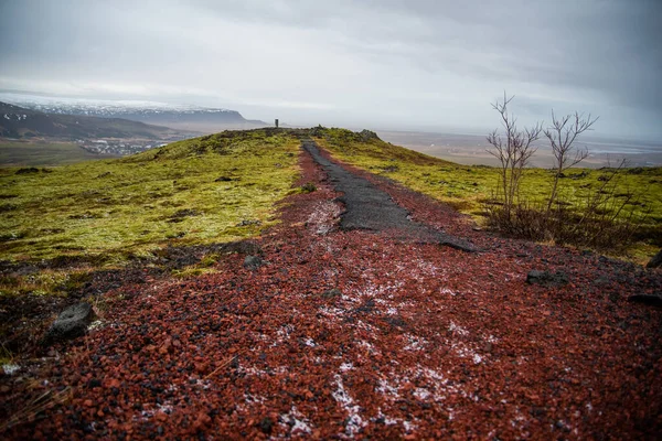 Terreno Mágico Islândia Com Texturas Vermelhas Verdes Profundas — Fotografia de Stock