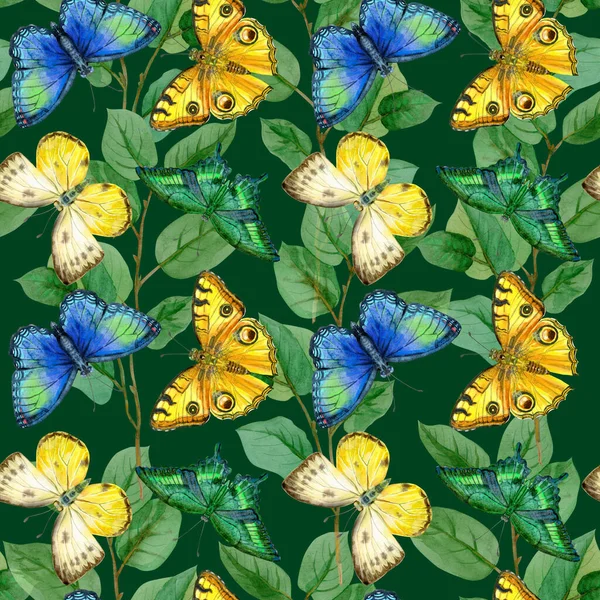 Patrón Sin Costuras Hojas Florales Con Mariposas Colores Sobre Fondo —  Fotos de Stock