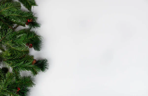 Firavun Ağacı Dalları Mutlu Bir Noel Yeni Yıl Kutlaması Için — Stok fotoğraf