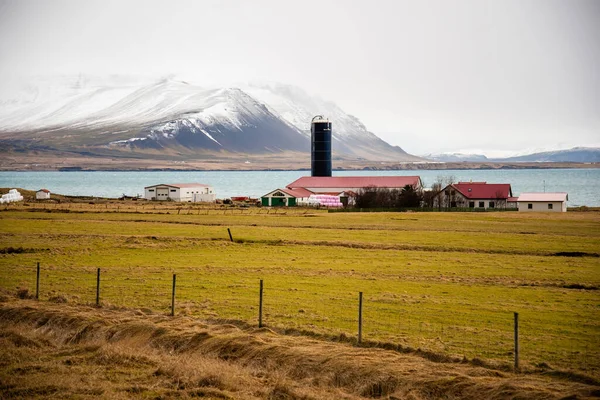 Vibrant grassy pasture leads into a gorgeous red barn with silo with magical snow capped mountains and blue water in the background of this Icelandic landscape