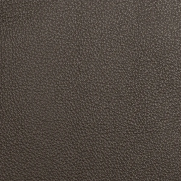 Leder Textur Knisternde Oberfläche Hintergrund — Stockfoto