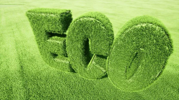 Grünes Wort Ökozeichen Erneuerbare Energien Ökologie Konzept Rendern — Stockfoto
