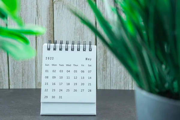 Weißer Kalender Mai 2022 Mit Topfpflanze Auf Dem Schreibtisch Neujahrskonzept — Stockfoto