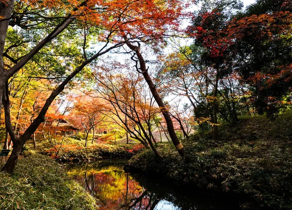 带着美丽的秋天照片环游世界 — 图库照片
