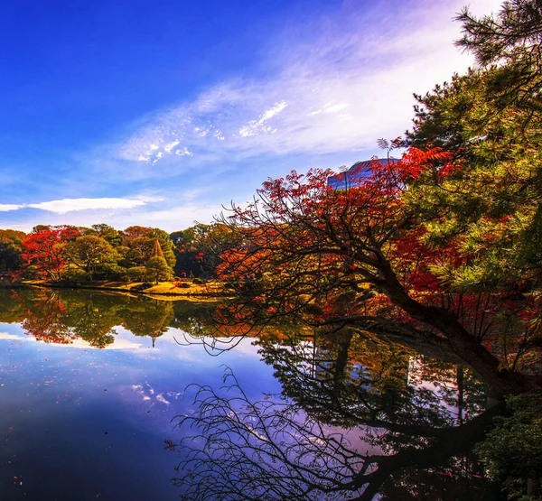Beautiful Autumn Places World Pictures — Foto de Stock